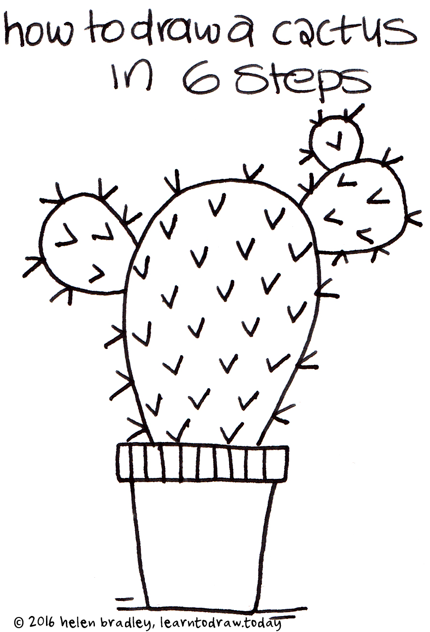 888x1304 learn to draw a cactus in steps learn to draw - Plant Drawing