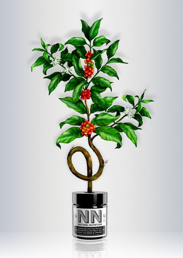 605x851 My Colored Pencil Drawings Of Plants Bored Panda - Plant Drawing