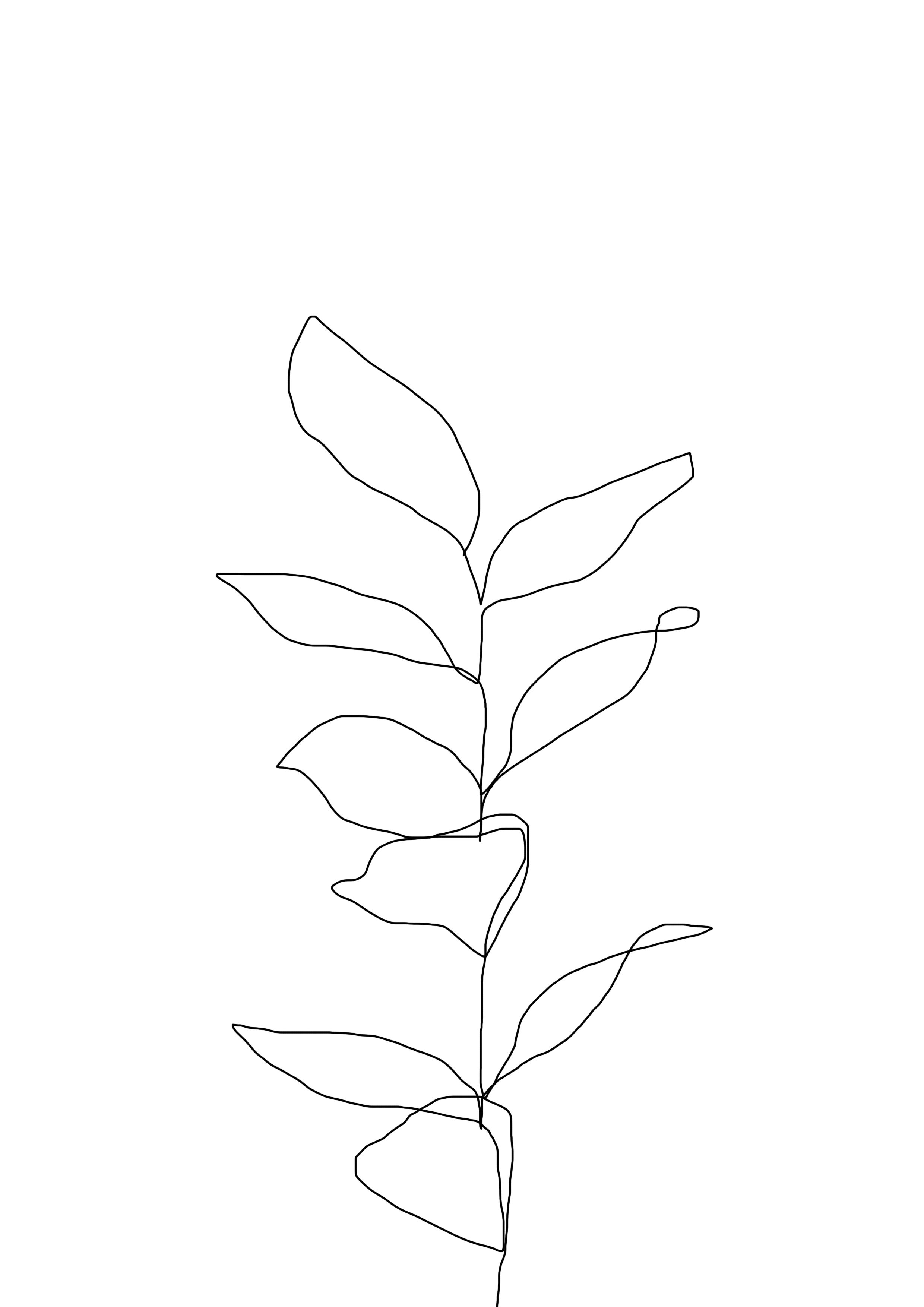 2480x3508 Drawings Illustrazioni, Calligrafia, Disegni - Plant Drawing