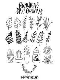236x314 Best Plant Drawing Images In Doodles, Needlepoint - Plant Drawing