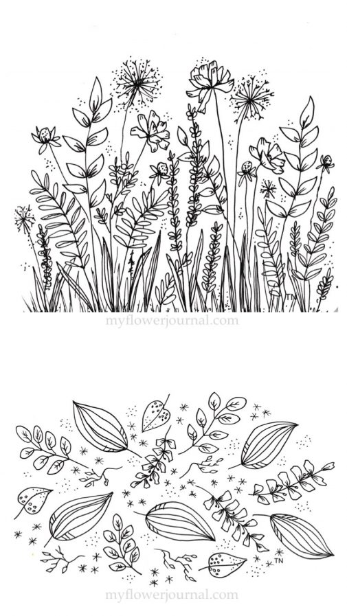 505x897 Botanical Line Drawings And Doodles - Plant Drawing Black And White