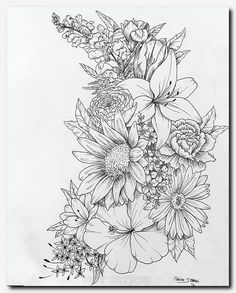 236x293 Floral - Plant Drawing Black And White