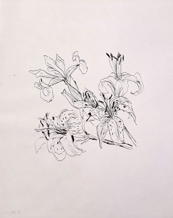 556x700 flowers and plant forms - Plant Drawing Black And White