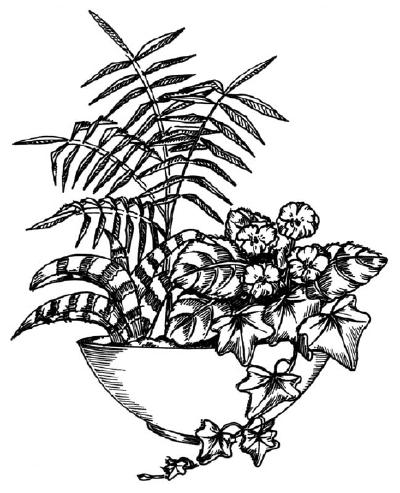 400x493 how to draw a plant arrangement howstuffworks - Plant Drawing Easy