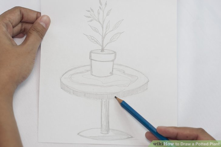 728x485 How To Draw A Potted Plant Steps - Plant Drawing Easy