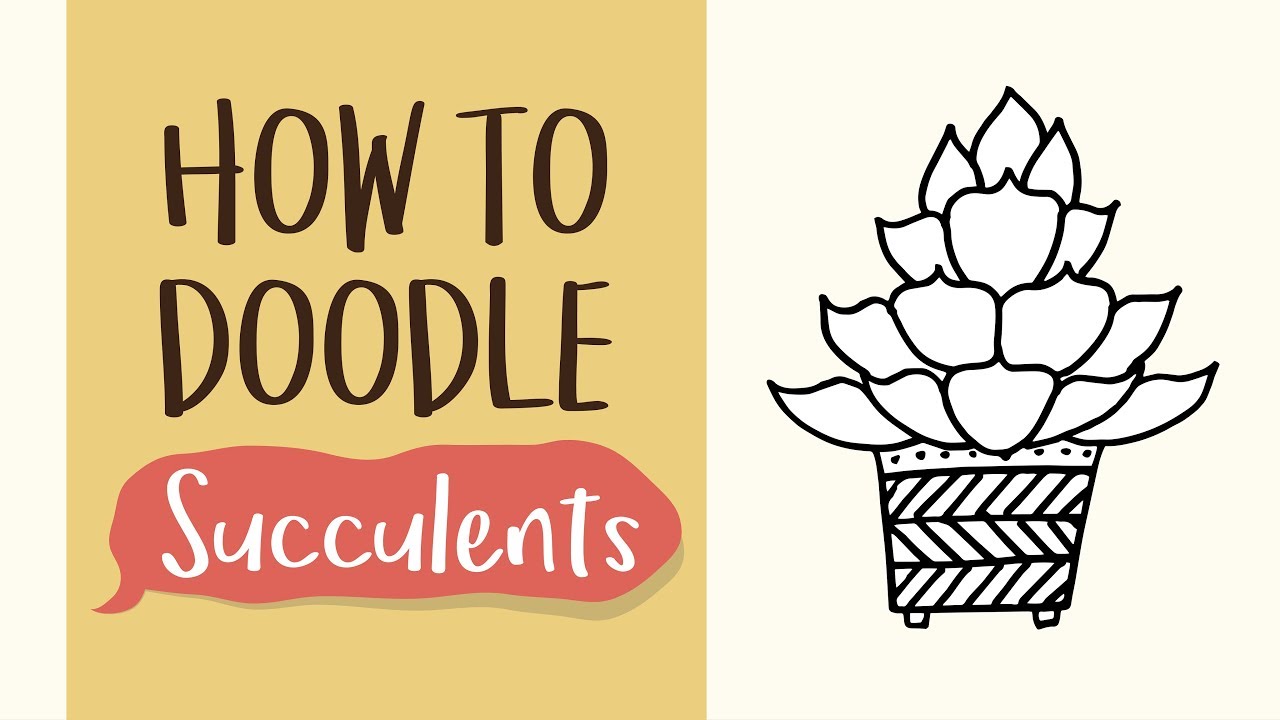 1280x720 how to draw a succulent plant - Plant Drawing Easy