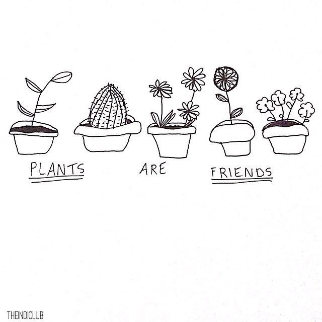 640x640 Plant Drawing Tumblr - Plant Drawing Easy