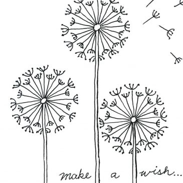 365x365 Plants Archives Art Projects For Kids - Plant Drawing For Kid