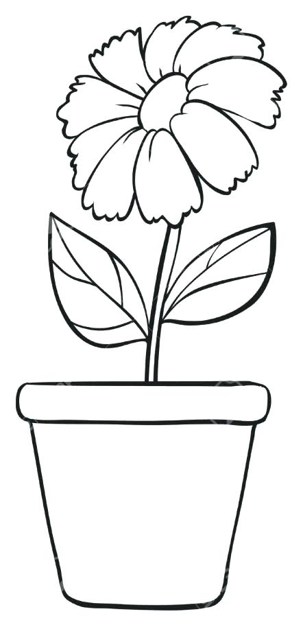 Plant In Pot Drawing at PaintingValley.com | Explore collection of ...