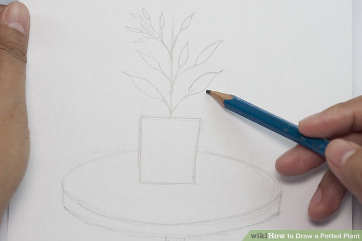 728x485 How To Draw A Potted Plant Steps - Plant In Pot Drawing