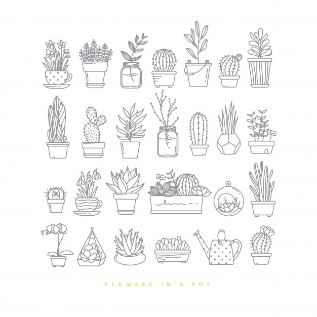 626x626 Icon Flat Set Plants In Pots Drawing On White Background Vector - Plant In Pot Drawing