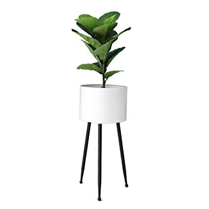 425x425 Plant Stand - Plant In Pot Drawing