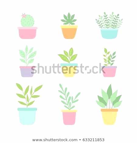 450x470 cute plant pots perth flower pot sayings at the quotes home models - Plant In Pot Drawing