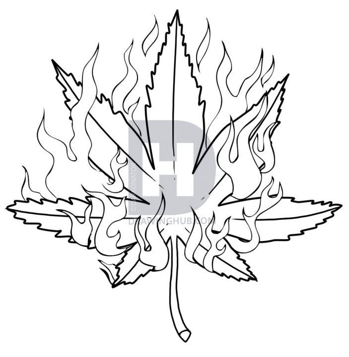 703x720 How To Draw A Pot Leaf, Step - Plant Leaf Drawing