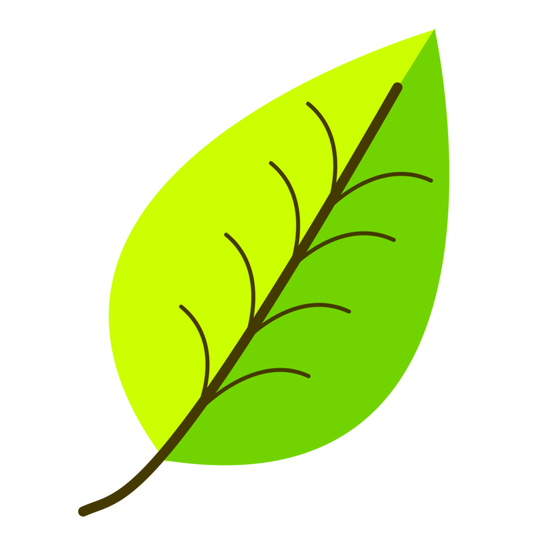 750x750 Leaf Computer Icons Green Drawing Yellow Cc0 - Plant Leaf Drawing