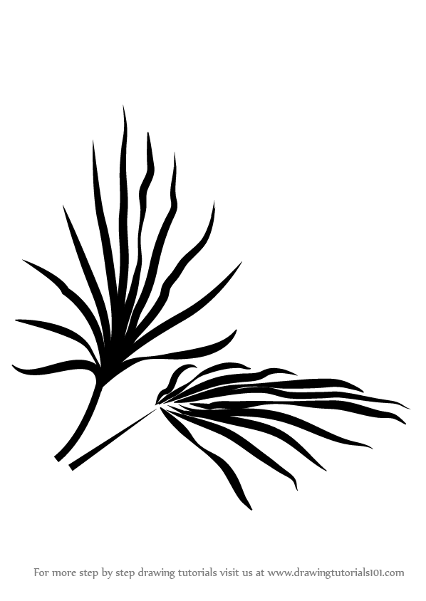 598x844 Learn How To Draw Plant Leaves - Plant Leaf Drawing