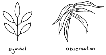 369x193 more drawing exercises personal growth medium - Plant Line Drawing