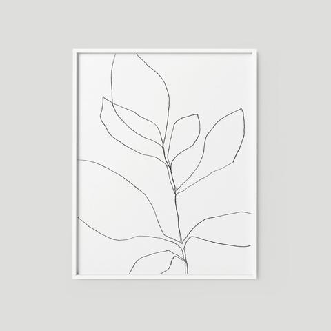 Plant Line Drawing at PaintingValley.com | Explore collection of Plant ...