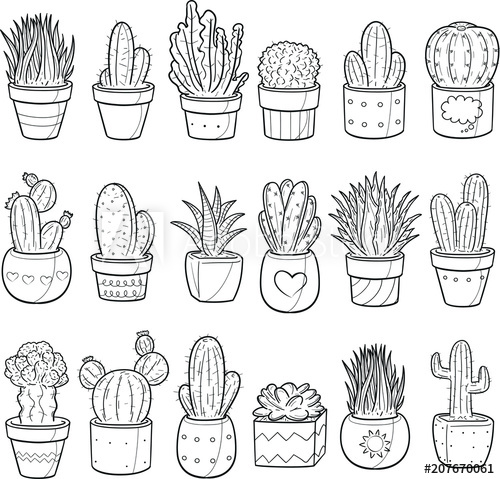 500x479 succulent cactus plant decor doodle icon hand draw line art - Plant Line Drawing