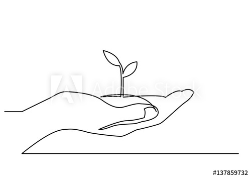 500x354 continuous line drawing of hand showing growing plant - Plant Line Drawing