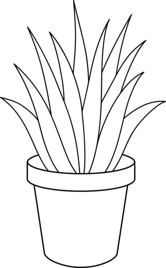 341x550 aloe vera plant line art - Plant Line Drawing