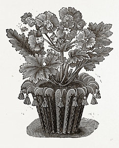 242x300 Flower Pot Drawings Fine Art America - Plant Pot Drawing