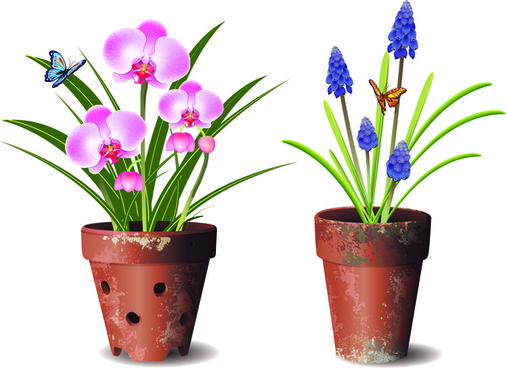 506x368 flower pots drawing free vector download - Plant Pot Drawing