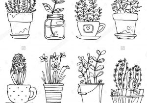 Plant Pot Drawing at PaintingValley.com | Explore collection of Plant ...