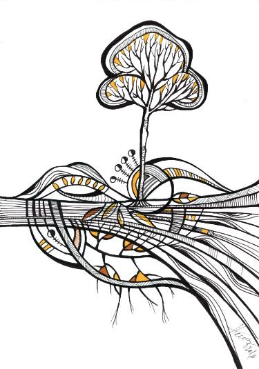 375x535 Roots Drawing - Plant Roots Drawing