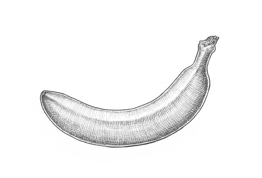 850x576 How To Draw A Banana - Plantain Drawing