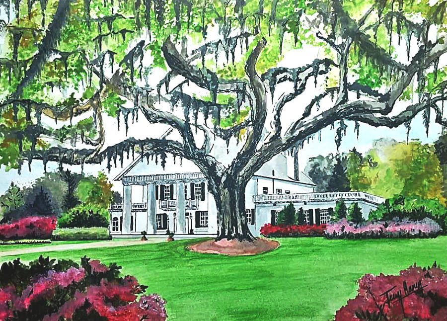 Plantation Drawing at Explore collection of