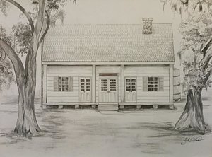 300x222 Tree Plantation Drawings Fine Art America - Plantation Drawing