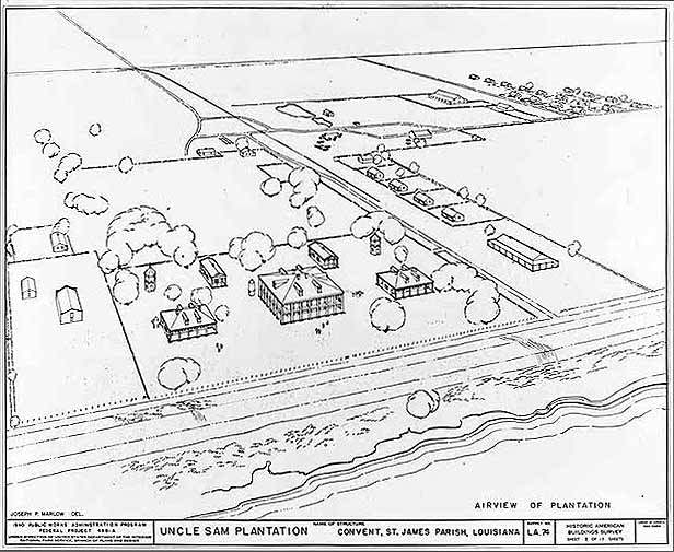 616x505 cultural landscape of plantation introduction - Plantation Drawing