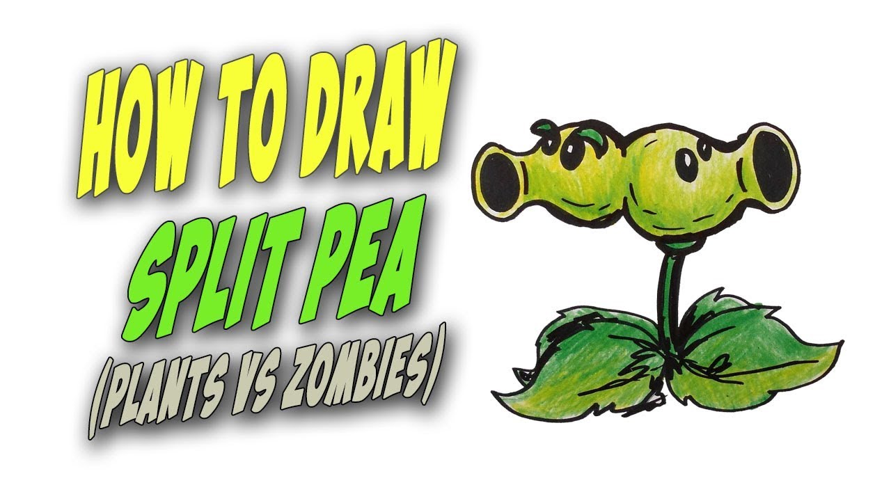 1280x720 How To Draw A Plant From Plants Vs Zombies - Plants Vs Zombies Drawing All Plants