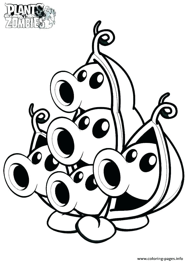736x1030 Plants Vs Zombies Coloring Pages All - Plants Vs Zombies Drawing All Plants