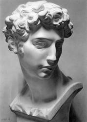 178x250 plaster drawing - Plaster Drawing