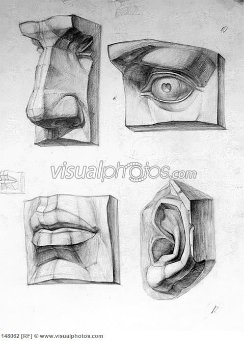 479x670 plaster cast human body fragments drawing nose, eye, mouth, ear - Plaster Drawing