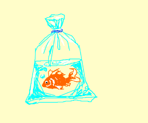 300x250 goldfish in a plastic bag drawing - Plastic Bag Drawing