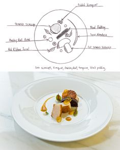236x295 best chef plating drawings images draw, drawings, plate drawing - Plate Of Food Drawing