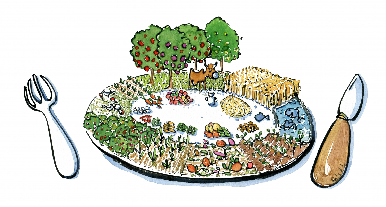1500x806 local eating farm food plate illustration - Plate Of Food Drawing