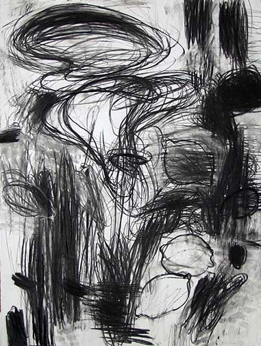 381x504 lexi axon, contemporary artist, brooklyn ny charcoal and pastel - Platinum Drawing