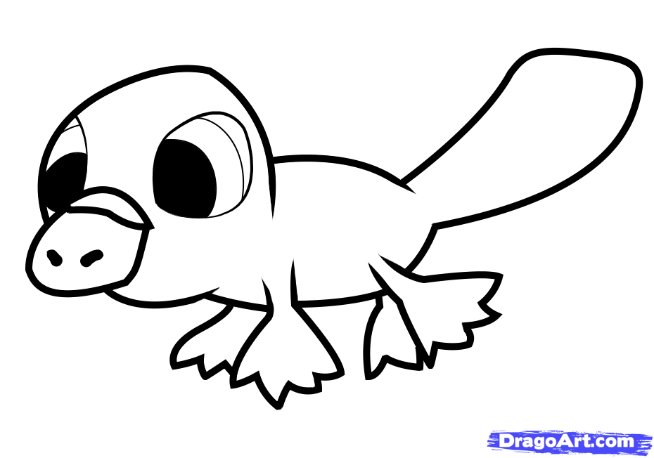 930x652 how to draw a platypus for kids, step - Platypus Drawing