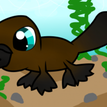 220x220 how to draw how to draw a platypus for kids - Platypus Drawing