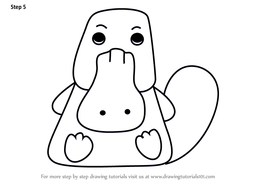 848x602 learn how to draw a platypus for kids - Platypus Drawing