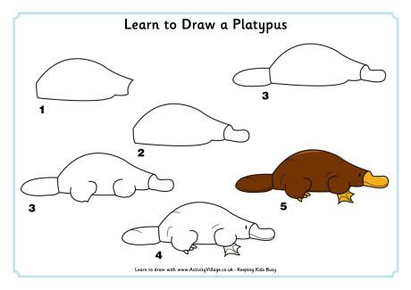 460x325 learn to draw a platypus how to draw platypus, drawings - Platypus Drawing