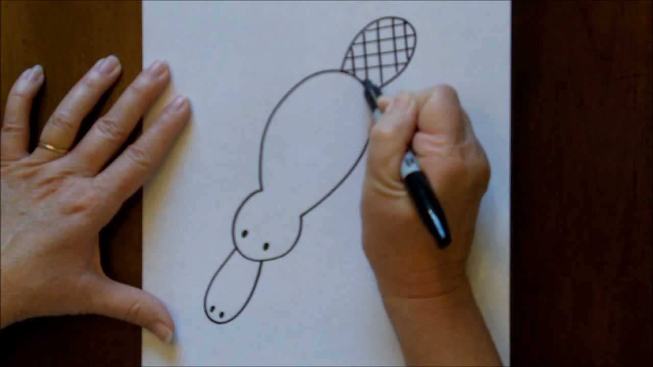1280x720 how to draw a cartoon platypus step - Platypus Drawing