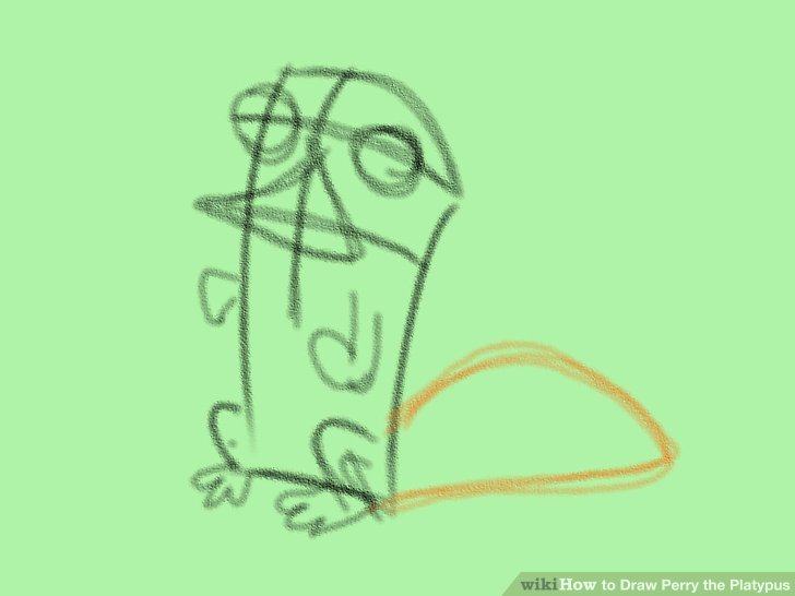 728x546 How To Draw Perry The Platypus - Platypus Drawing Step Step