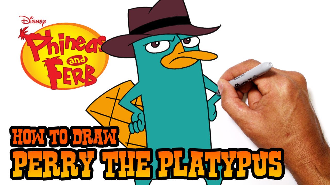 1280x720 How To Draw Perry The Platypus Phineas Ferb - Platypus Drawing Step Step