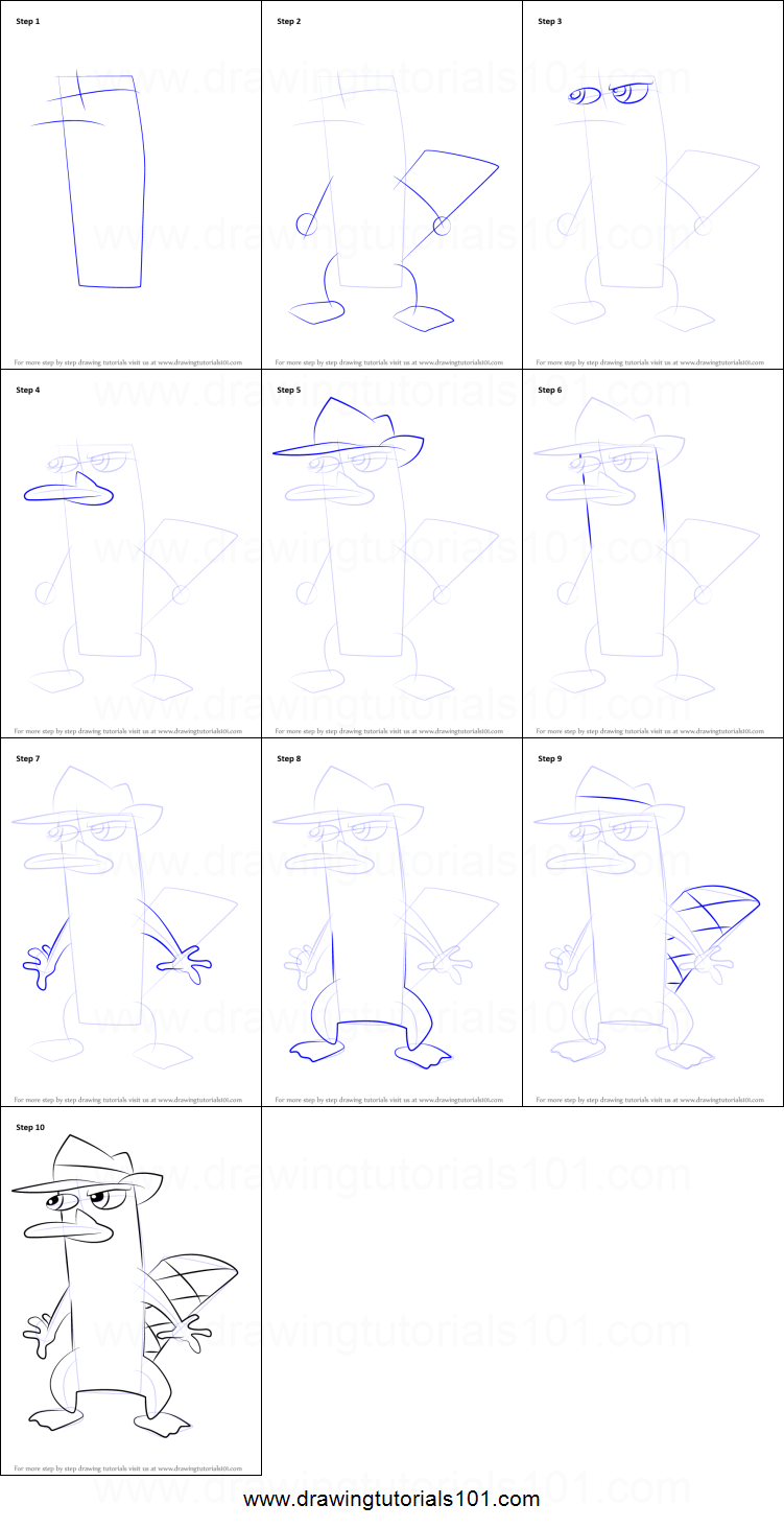 751x1463 How To Draw Perry The Platypus From Phineas And Ferb Printable - Platypus Drawing Step Step