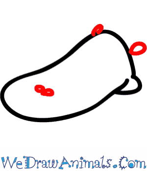 300x350 How To Draw A Platypus - Platypus Drawing Step Step